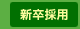 新卒採用