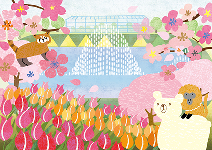 浜松帖（静岡県浜松市）<br>北村ハルコ（イラストレーター）