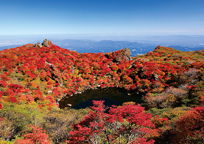 11月 くじゅう帖