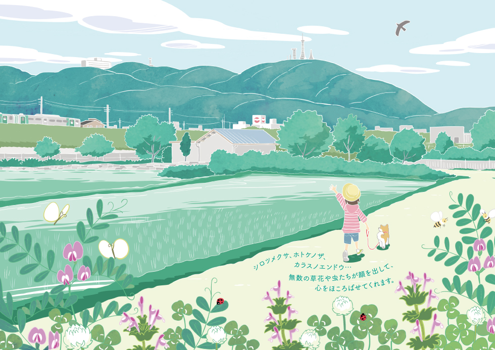 八万帖（徳島県徳島市八万町）<br>陽風（イラストレーター）