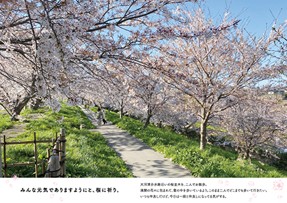 分水帖（新潟県燕市五千石（旧：西蒲原郡分水町））<br>名和和嘉子（グラフィックデザイナー）