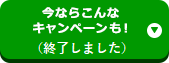今ならこんなキャンペーンも！