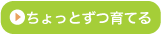 ちょっとずつ育てる