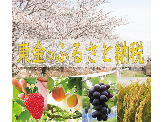【PR】千葉県東金市