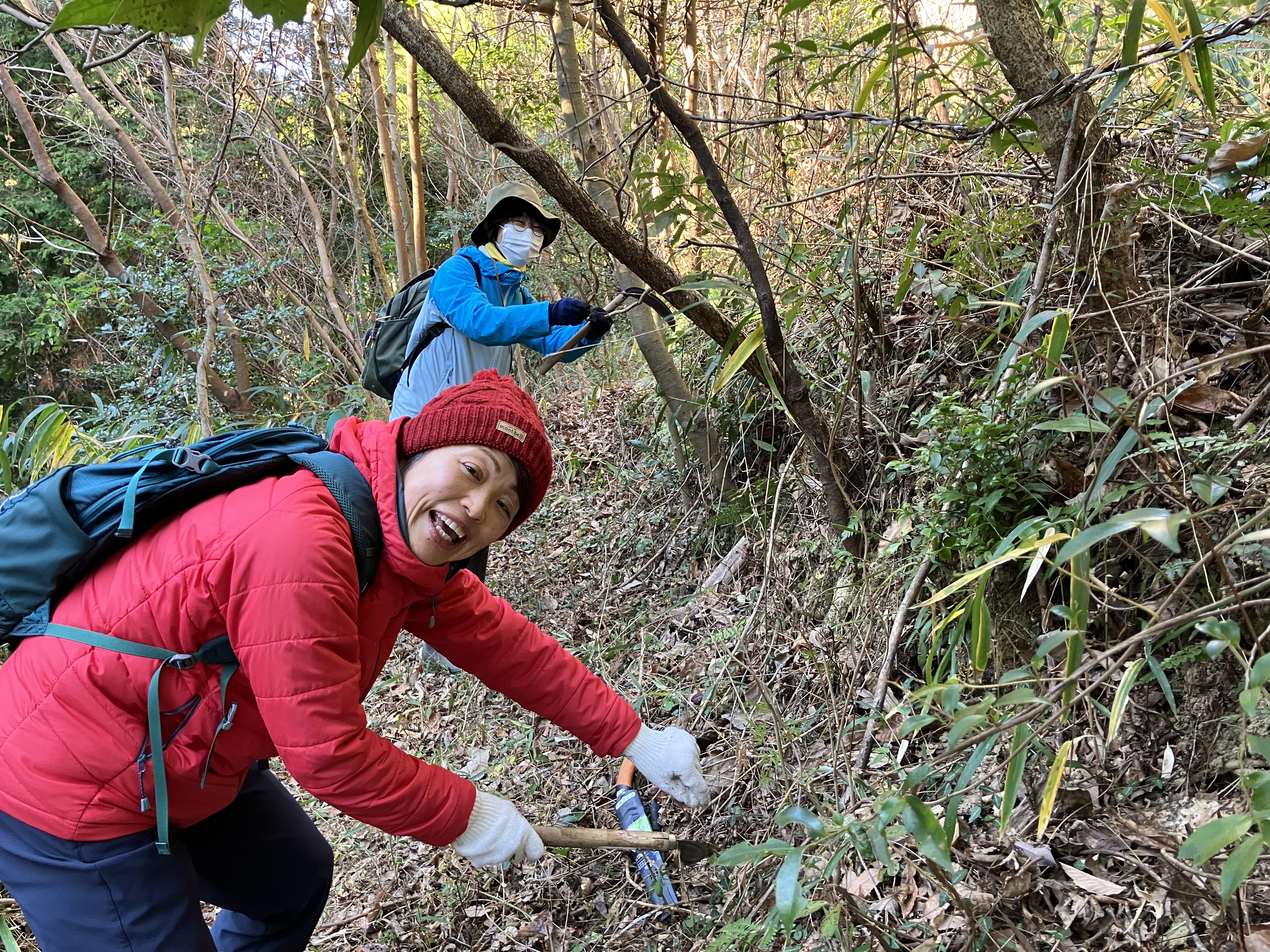 里山で森林整備を行う方々の写真